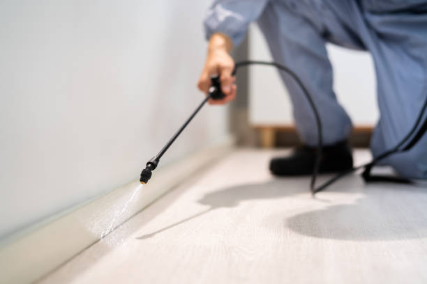 Licensed Wasp Control service in Peachtree City, GA - Nex Pest Control