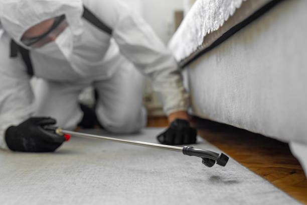 Professional Wasp Control technician working in Peachtree City, GA