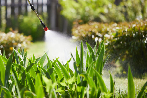 24/7 Emergency Fumigation Services experts in Peachtree City, GA