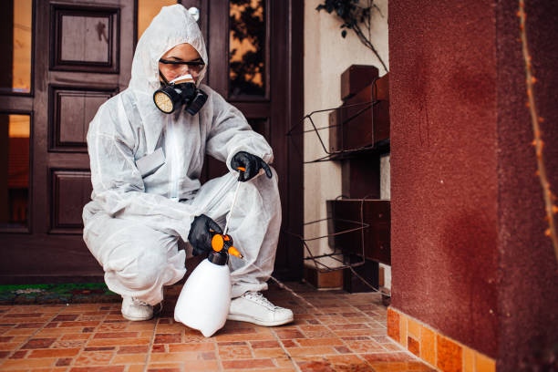 Reliable Fumigation Services contractor in Peachtree City, GA by Nex Pest Control